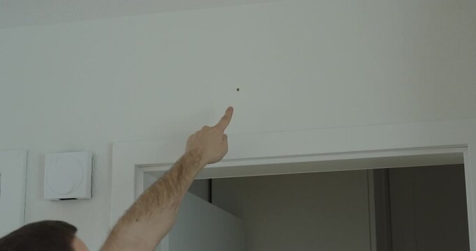 Man reaching toward a small insect on a wall, showing fear and hesitation indoors.