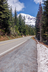 Obraz premium Scenic road in Mount Rainier National Park with fir trees on both sides and a snowy mountain