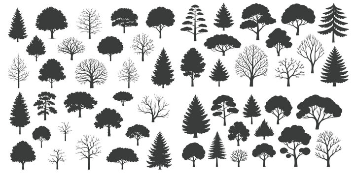 Tree silhouette icon collection set of graphics trees elements outline symbol for architecture of silhouettes of trees .landscape, and urban design projects, in vector design