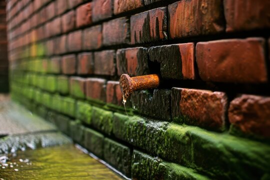 A rusted metal pipe protruding from a damp, mosscovered brick wall with water dripping from it