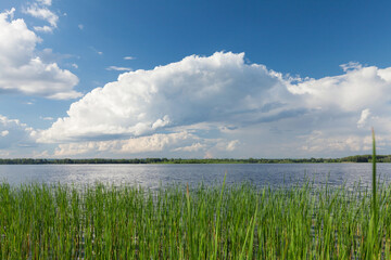 Naklejka premium Sunny summer landscape with river and field