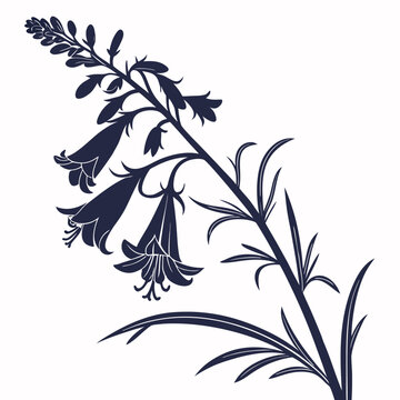 artemisia absinthium flower silhouette on white background