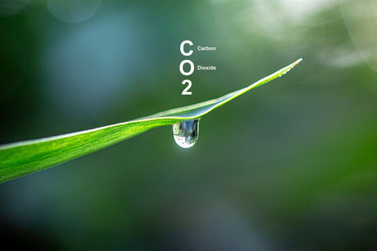 CO2 or carbon dioxide is a gas that is essential to life and the environment. It is a colorless, odorless gas that plays a key role in plant photosynthesis and is a greenhouse gas.