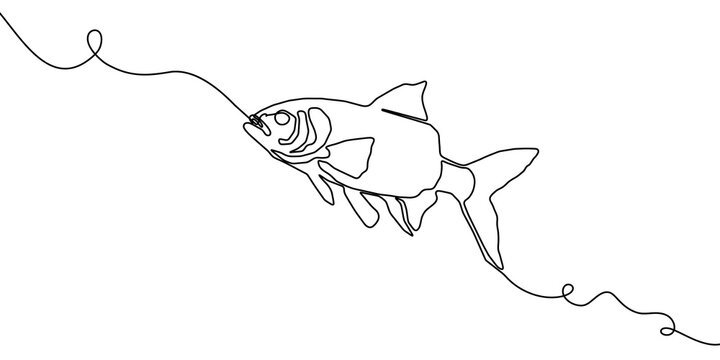Continuous one line fish salmon art icon tuna drawing trout seafood. Fish one line salmon one simple hand outline illustration water type food hook linear sea fin pond day sketch silhouette logo ocean