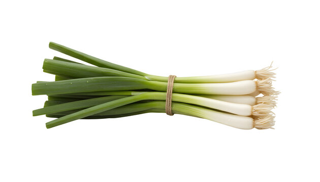 A bunch of fresh green onions tied with a rustic twine string, featuring crisp white bulbs with roots and vibrant long green stalks, isolated on a transparent background for fresh vegetable design.