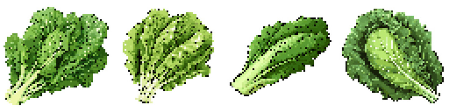 Escarole pixel icon set. retro, pixelated 2d graphics for games and apps