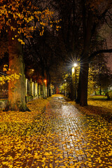 Obraz premium Paved pathway illuminated by streetlights in autumn park at dusk, surrounded by trees with colorful fallen leaves. Serene evening outdoor scene for calm mood.