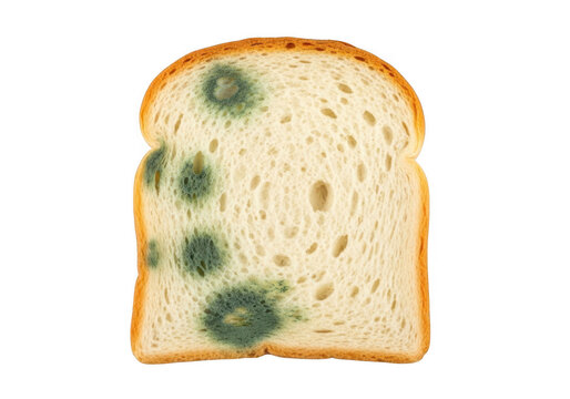 A slice of bread with green mold on it isolated on transparent background