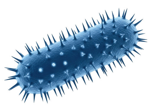 Escherichia coli bacteria with flagella and pili isolated on transparent background
