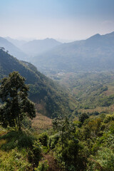 Fototapeta premium A scenic view of the mountains and valleys in Ha Giang, Vietnam. The landscape showcases the natural beauty of the region, with lush greenery and terraced fields.