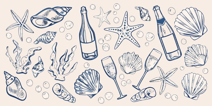 A charming sketch of seashells champagne and marine life elements