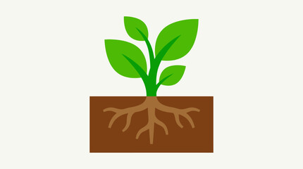 Obraz premium Simple illustration of a green plant with leaves and visible roots embedded in brown soil, depicting growth and nature.