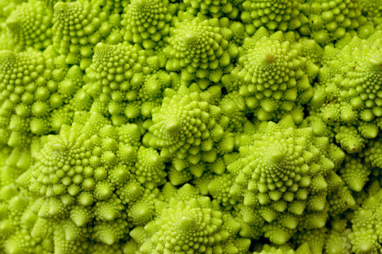 ロマネスコのフラクタル構造クローズアップ（Close up of romanesco broccoli fractal pattern）