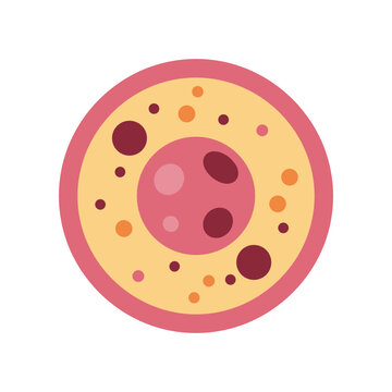 Cell biology structure illustration.