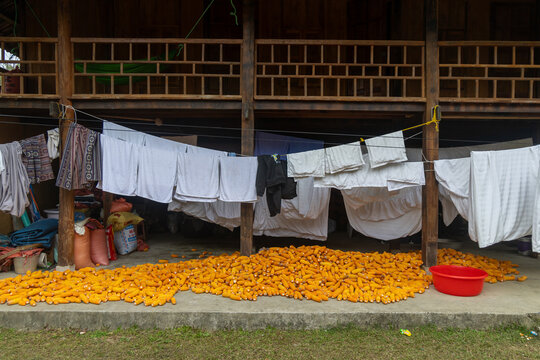 In Quan Ba, Ha Giang, Vietnam, corn is dried in the sun in front of a traditional wooden house, while laundry hangs above. This is done to preserve the harvest.