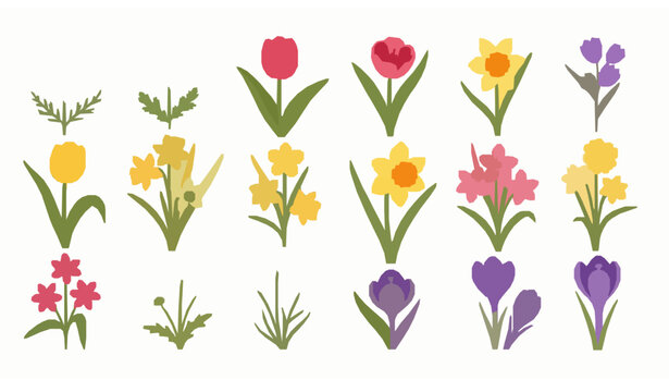 Colorful spring flower clipart set with daisy tulip jonquil daffodil chamomile crocus flat vector illustration