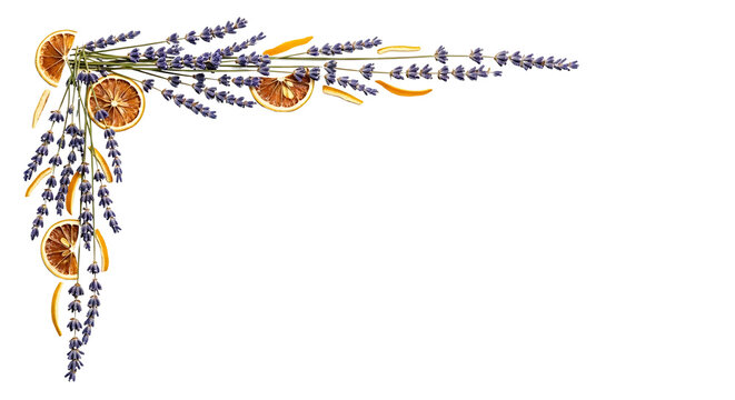 Decorative corner border made of dried lavender sprigs and orange slices on a white background.