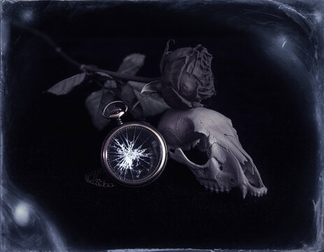 Wet Plate Collodion Memento Mori Still Life