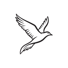 Fototapeta premium Elegant Flying Bird Line Art Vector | Dove Freedom Outline Illustration