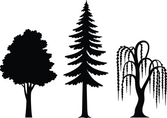 Tree silhouette vector set, black icons of deciduous, coniferous pine, and weeping willow for landscape design © Sume