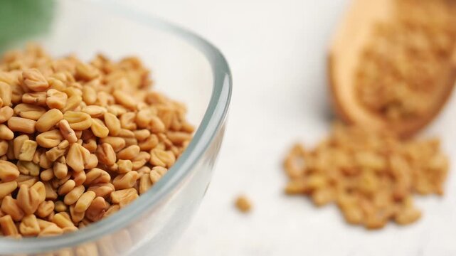 Slow motion close up of organic fenugreek seeds in glass bowl on white background