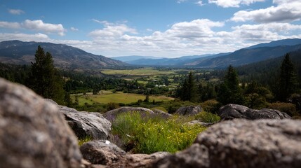 Fototapeta premium Expansive mountain valley vista viewed from rocky foreground with wildflowers under a bright cloudy sky