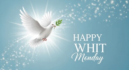 White dove holding olive branch on Whit Monday with sparkling background