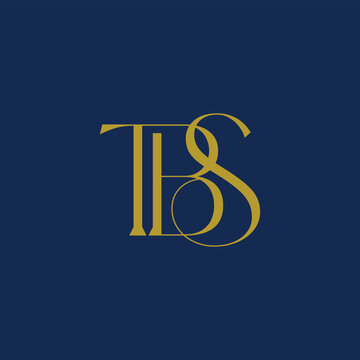 Minimal TBS BS TB Monogram Logo Design, Elegant Initial Letter Logo, Modern Lettermark Branding Template