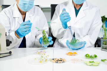 Fototapeta premium Scientists conduct laboratory food testing and biotech research using advanced equipment, ensuring safety, quality, and innovation in modern science environments.
