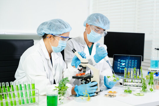 Food scientists in lab coats, testing samples, and analyzing food safety and quality in a modern laboratory
