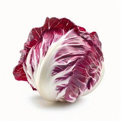 Obraz premium Fresh radicchio whole isolated on white background