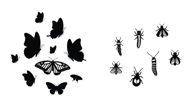 A collection of insect silhouettes against a white background silhouette