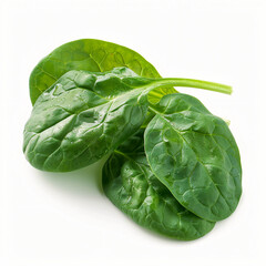 Fototapeta premium Fresh spinach leaves bunch isolated on white background