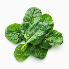Fototapeta premium Fresh spinach leaves bunch isolated on white background