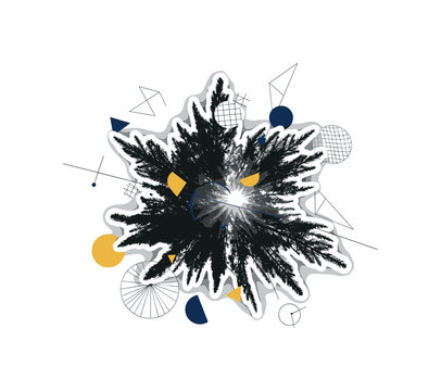 black and white pine tree crown viewed from below perspective, cut-out collage look with white outline, floating geometric circles and structural lines