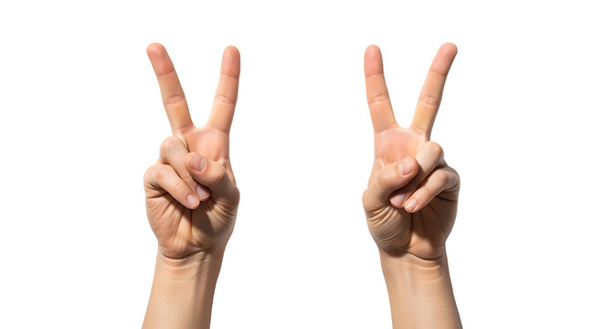 Two distinct human hands one on the left and another on the right are raised and displaying the iconic 'v' for victory or peace sign with their index and middle fingers extended