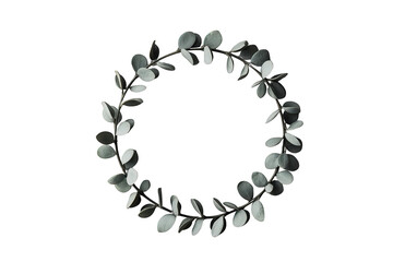 Obraz premium Eucalyptus wreath creating a frame, round floral border of green leaves, offering a natural design element on transparent background