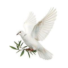 Obraz premium Illustration of a dove of peace with an olive branch flying in the sky