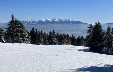 Obraz premium Tatras from Kubinska Hola in winter at sunny day