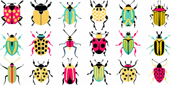 A colorful collection of various patterned beetles displayed in a grid format