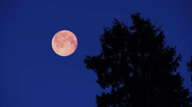 Full Moon, stars and planets above landscape silhouettes.