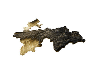 Obraz premium Tajikistan Map Golden Metallic Texture Map Gold Reserves And Gold Mining Concept 3D Illustration