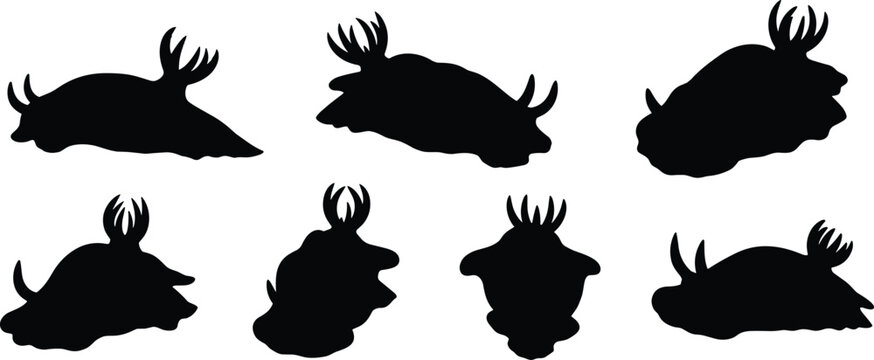 Nudibranch silhouette set. Marine sea slug vector collection with unique shapes and multiple poses. Ocean animal silhouettes isolated for nature, wildlife, and graphic design use.