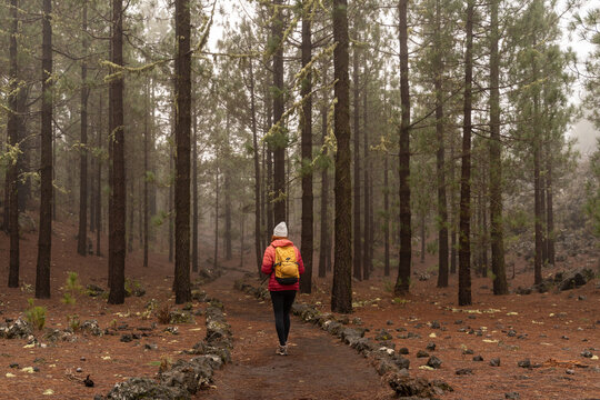 Woman hiking on forest trail near Volcan Chinyero Tenerife