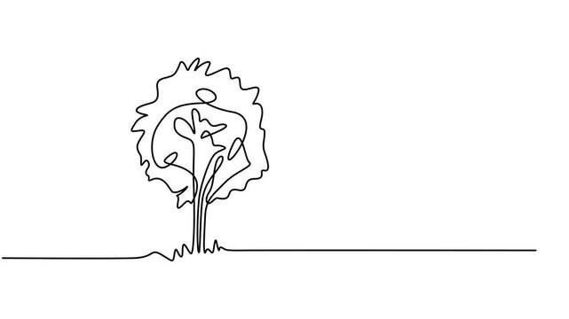 Self animated continuous one line drawing of tree. Full length one line 4K animation, Self drawing animation of continuous one line drawing big tree with lush leaves and dry leaves on each side.