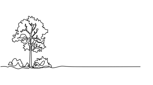 Self animated continuous one line drawing of tree. Full length one line 4K animation, Self drawing animation of continuous one line drawing big tree with lush leaves and dry leaves on each side.