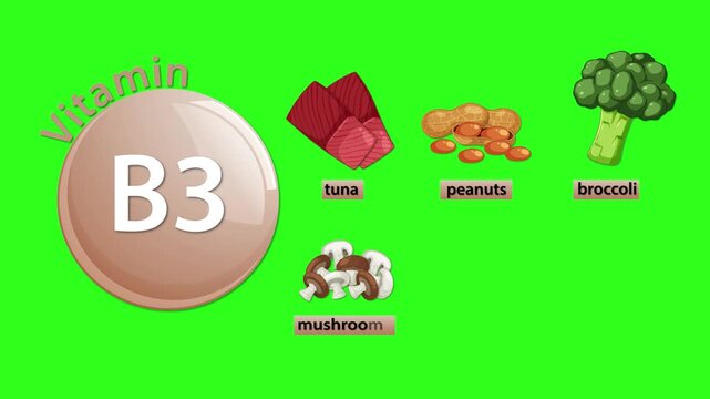 Vitamin B3 Sources Animation With Food Illustrations On Green Background