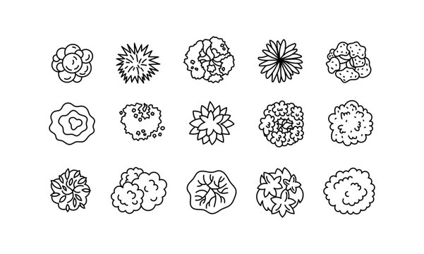 Collection of minimalist tree top view icons in black and white. Ideal for landscape planning and architecture. Includes diverse shapes and styles.