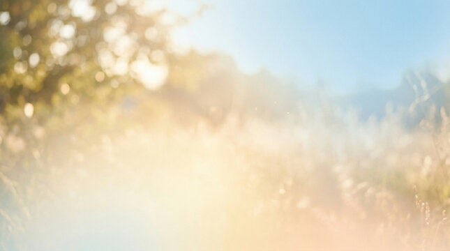 Warm summer haze fills the air with blurred scenes of nature and soft light during the late afternoon hours in an outdoor setting