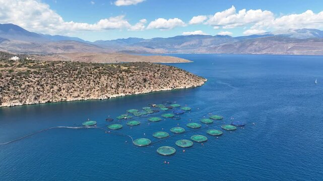 Aerial drone cinematic video of aquaculture fish farm cages producing sea breem and sea bass in deep blue Mediterranean sea